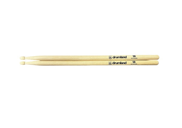 Drumland 5B Hickory Drum Sticks